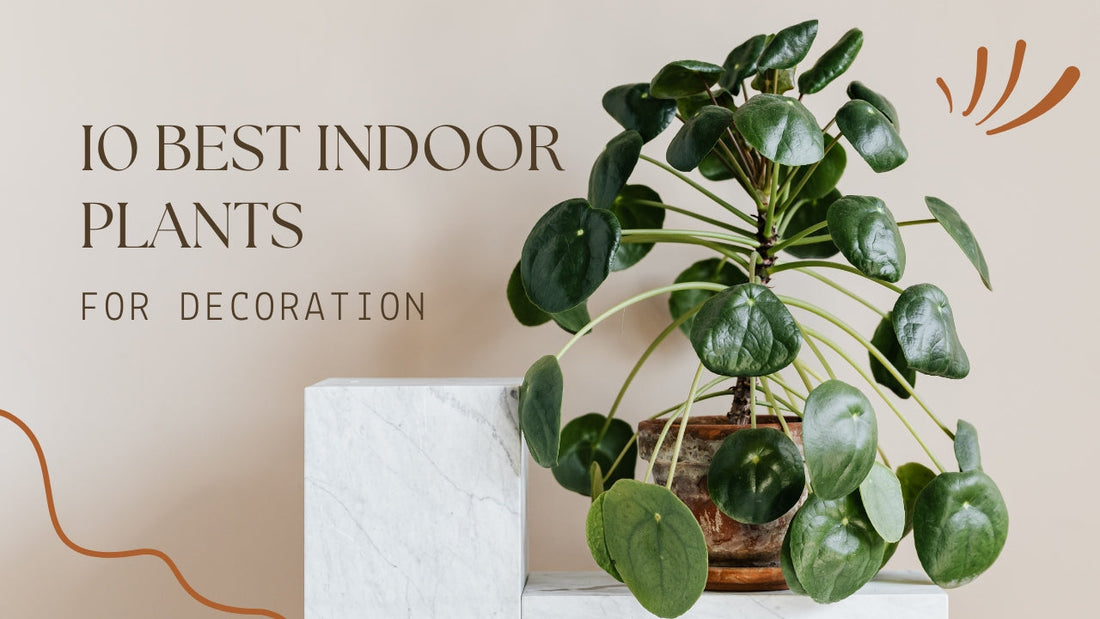 Top Benefits of Artificial Plants for Home &amp; Office Décor