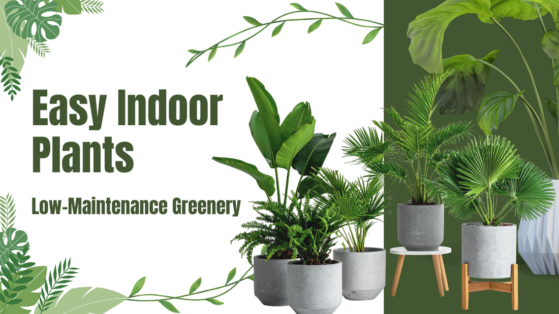 Artificial Plants vs Real Plants: Which Is Better for Modern Pakistani Homes?