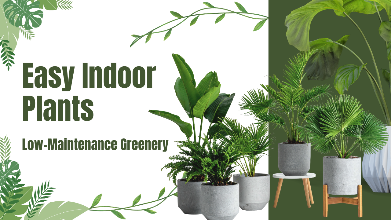 Artificial Plants vs Real Plants: Which Is Better for Modern Pakistani Homes?