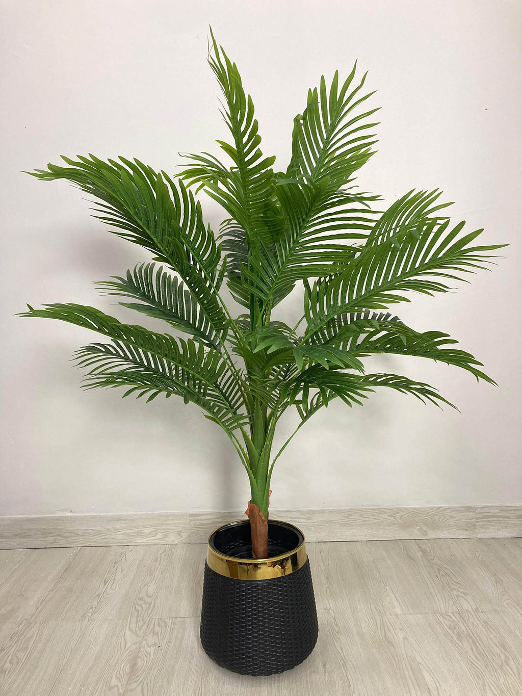 Areca Palm (PL1007) With Planter