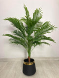 Areca Palm (PL1007) With Planter