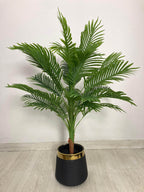 Areca Palm (PL1007) With Planter