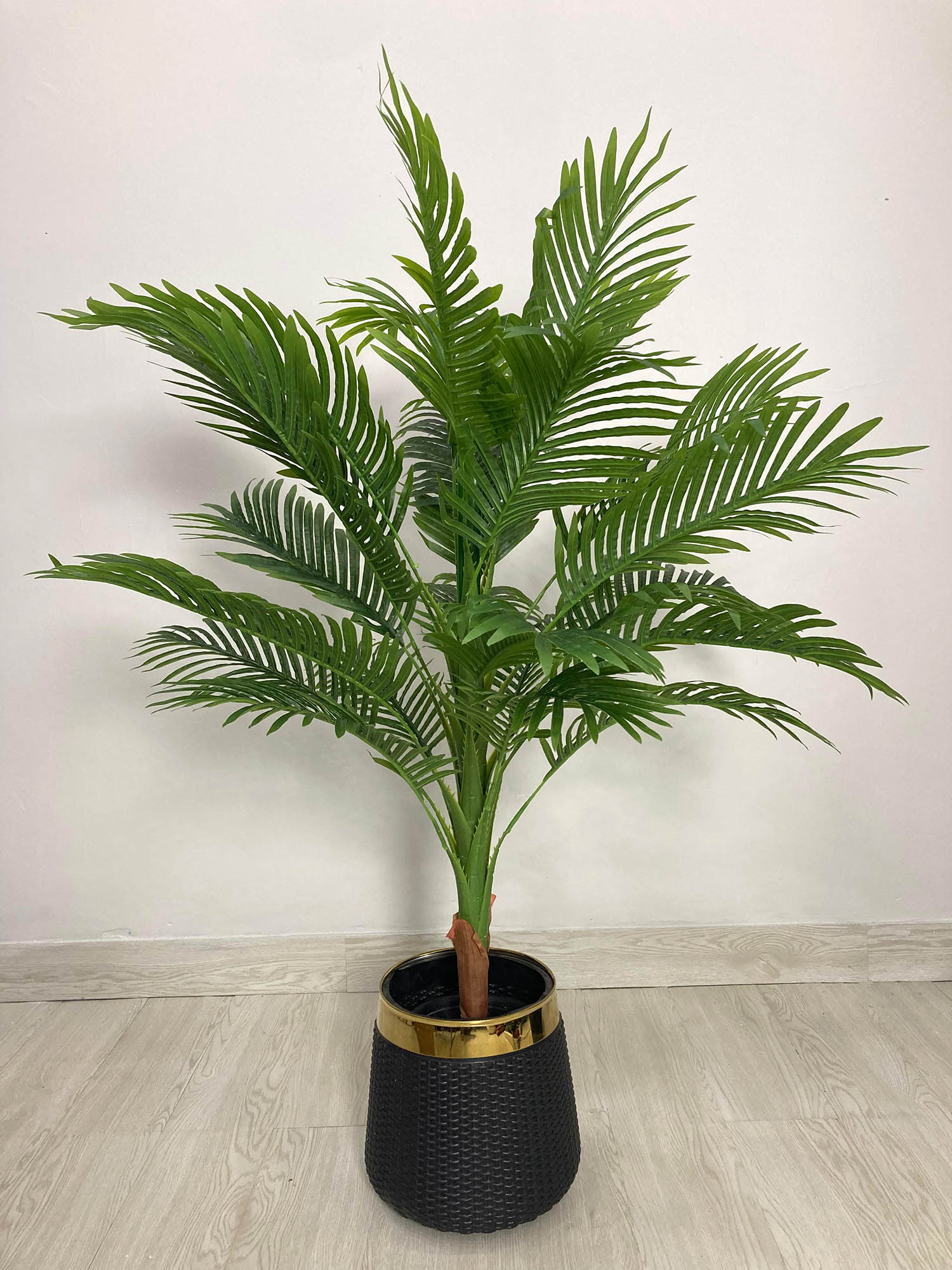 Areca Palm (PL1007) With Planter