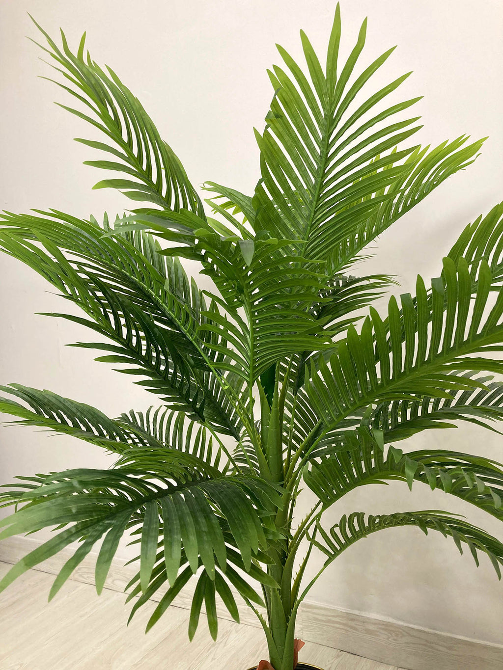 Areca Palm (PL1007) With Planter