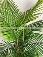Areca Palm (PL1017) With Planter