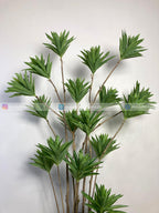 Dracaena Reflexa Plant (PL1019) With Planter