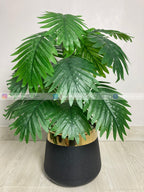 Palm Plant (PL1022) With Planter