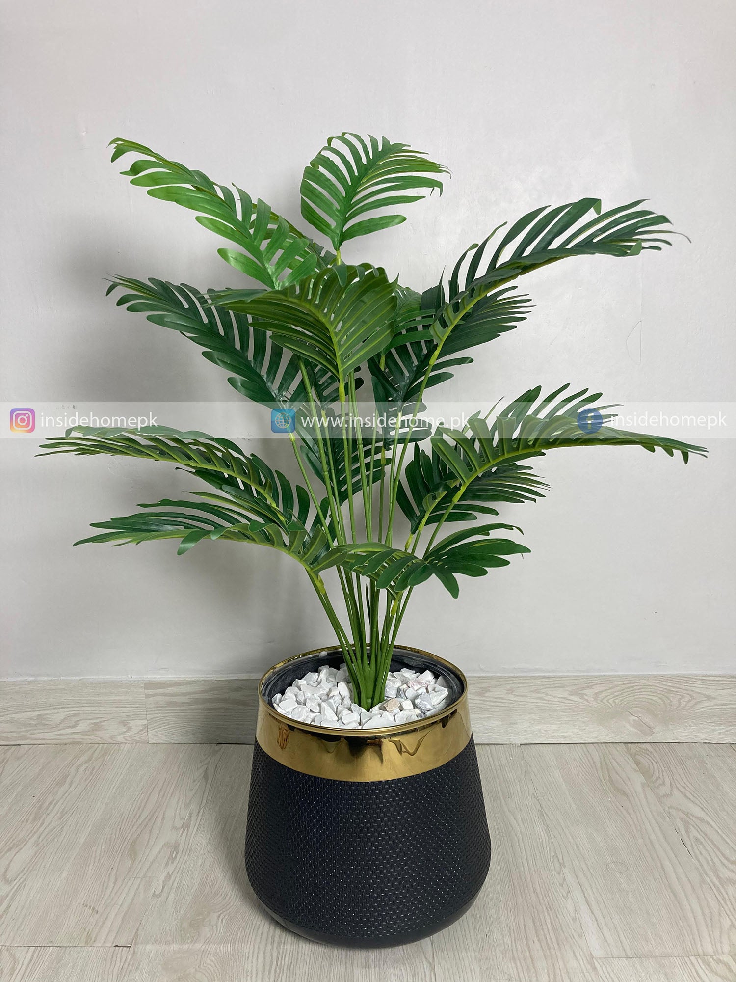 Areca Palm Plant (PL1027) With Planter