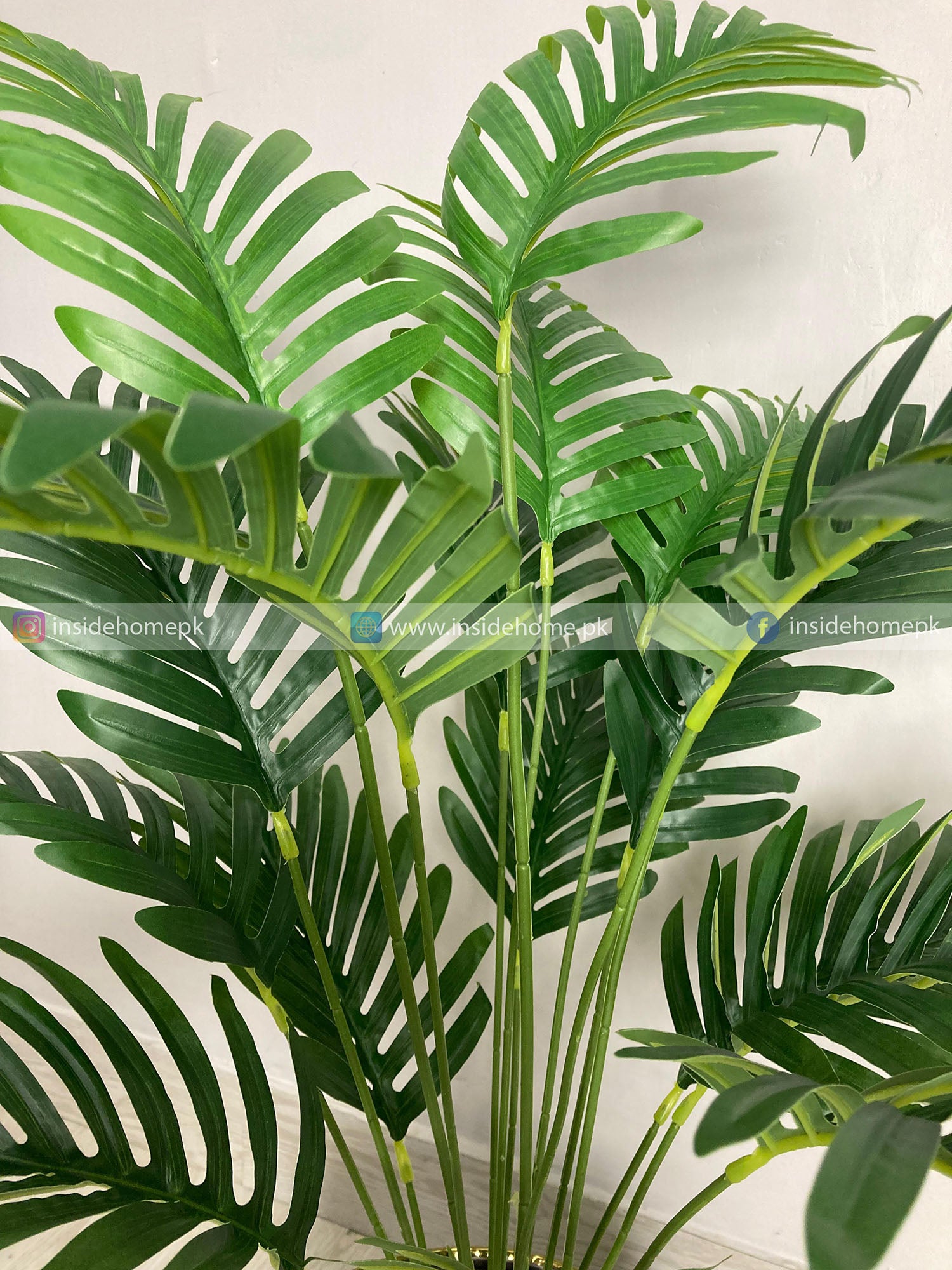 Areca Palm Plant (PL1027) With Planter