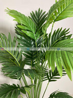 Natural Palm (PL1034) With Planter