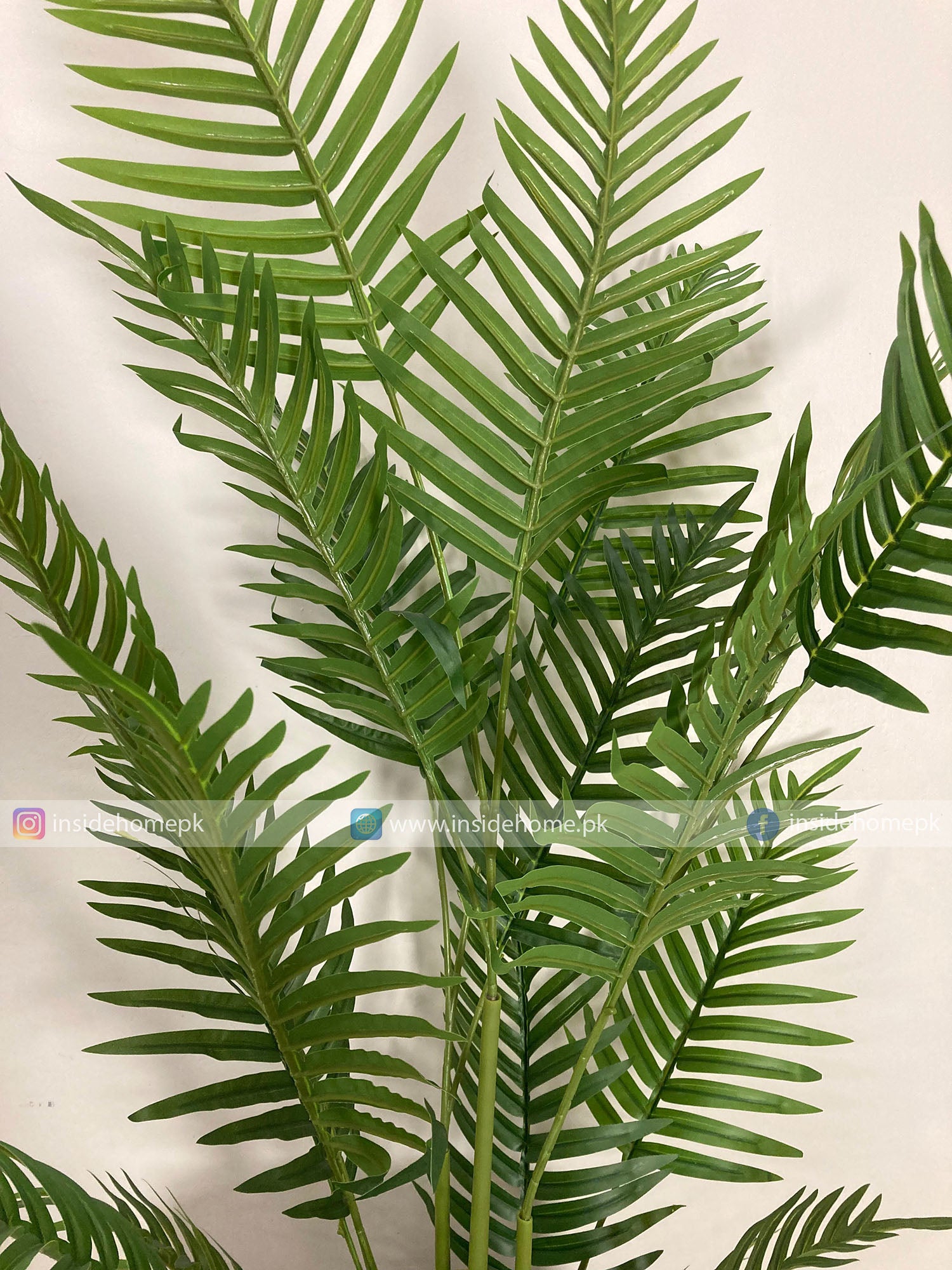 Natural Palm (PL1035) With Planter