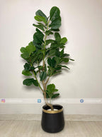 Fiddle Leaf Plant (PL1039) With Planter