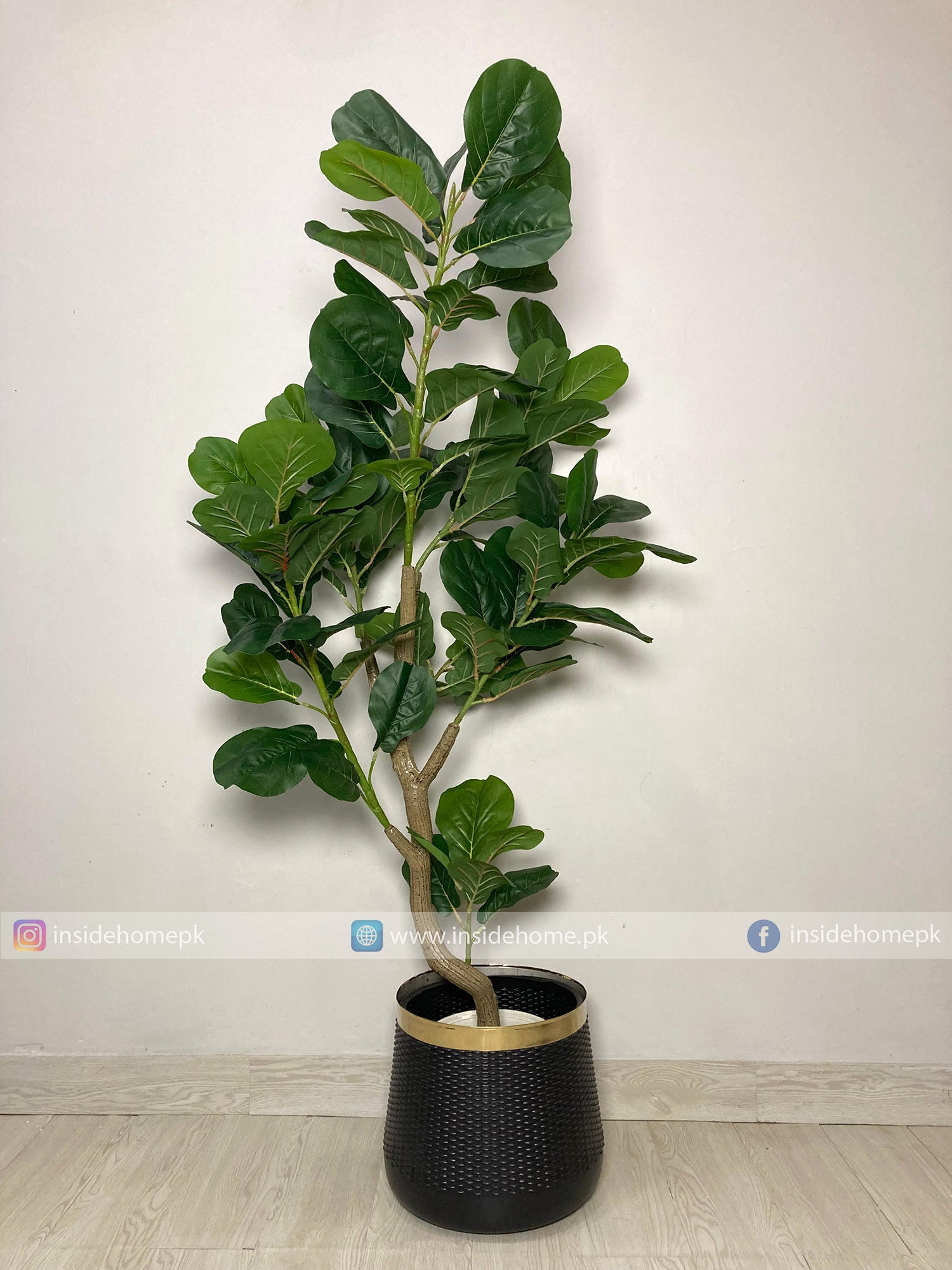 Fiddle Leaf Plant (PL1039) With Planter
