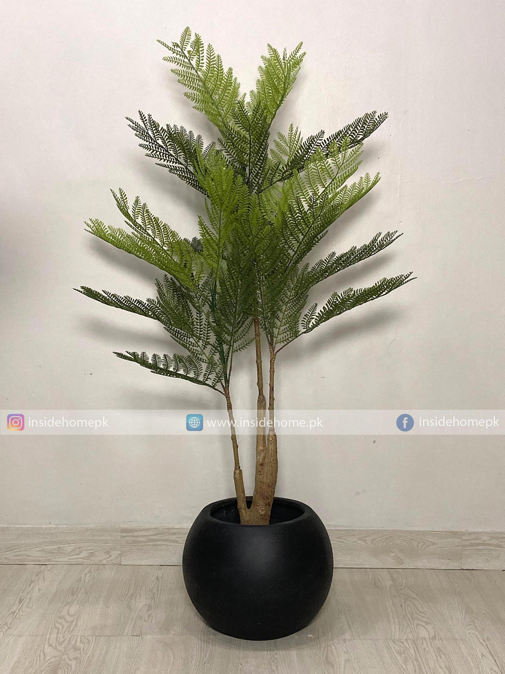 Amli Plant (PL1046) With Planter