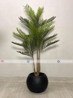 Amli Plant (PL1046) With Planter