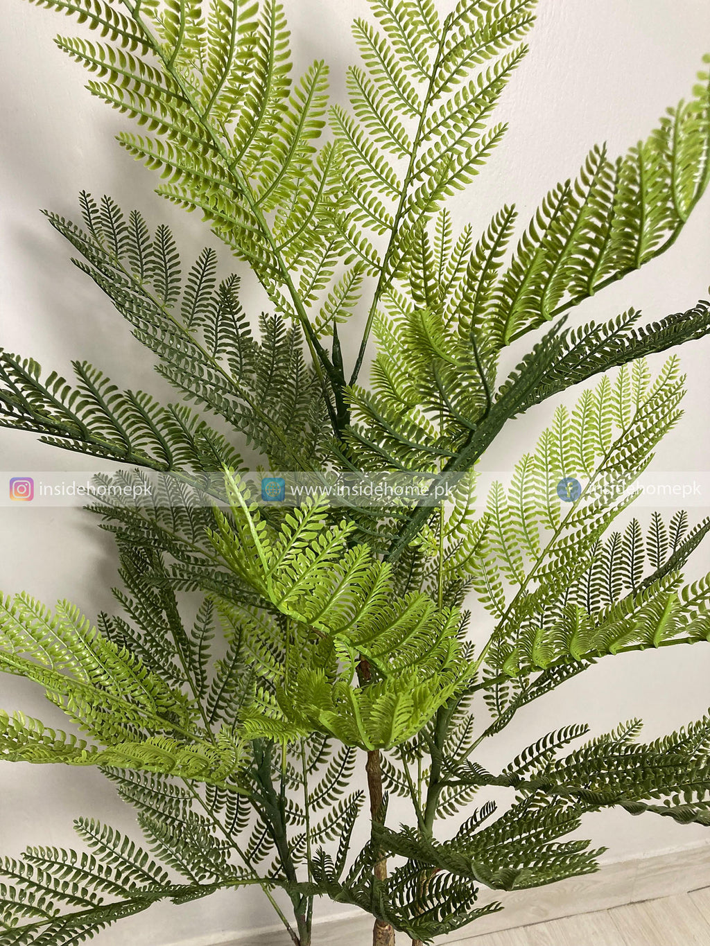Amli Plant (PL1046) With Planter