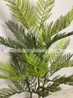 Amli Plant (PL1046) With Planter