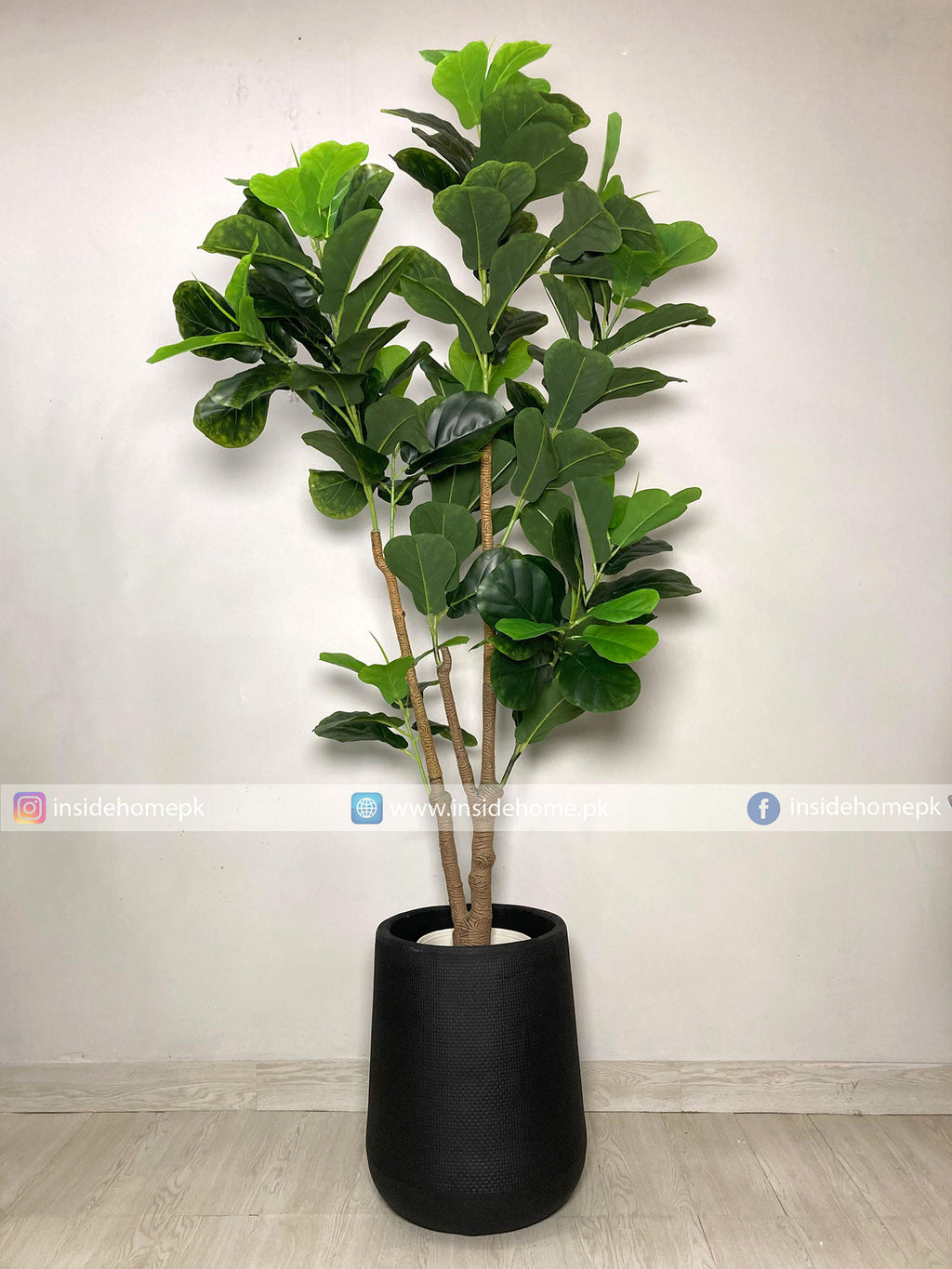 Fiddle Leaf Plant (PL1047) With Planter