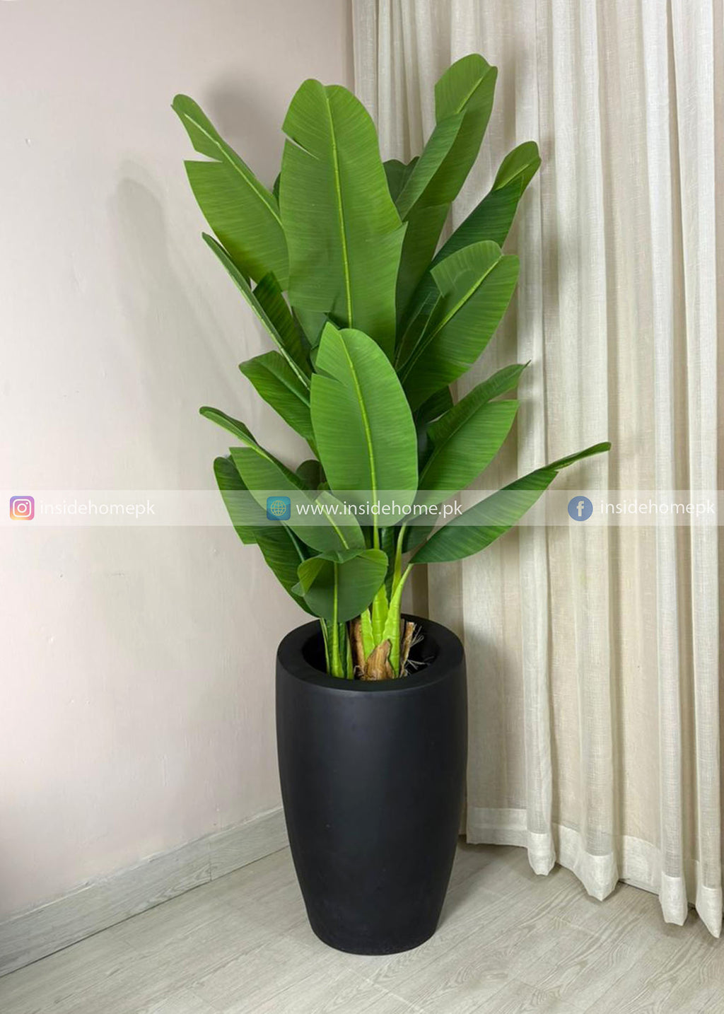 Bambo Banana Plant (PL1056) With Planter
