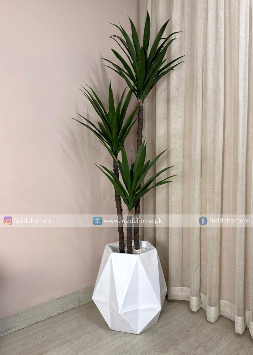 Agave Plant (PL1058) With Planter