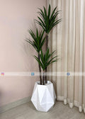 Agave Plant (PL1058) With Planter