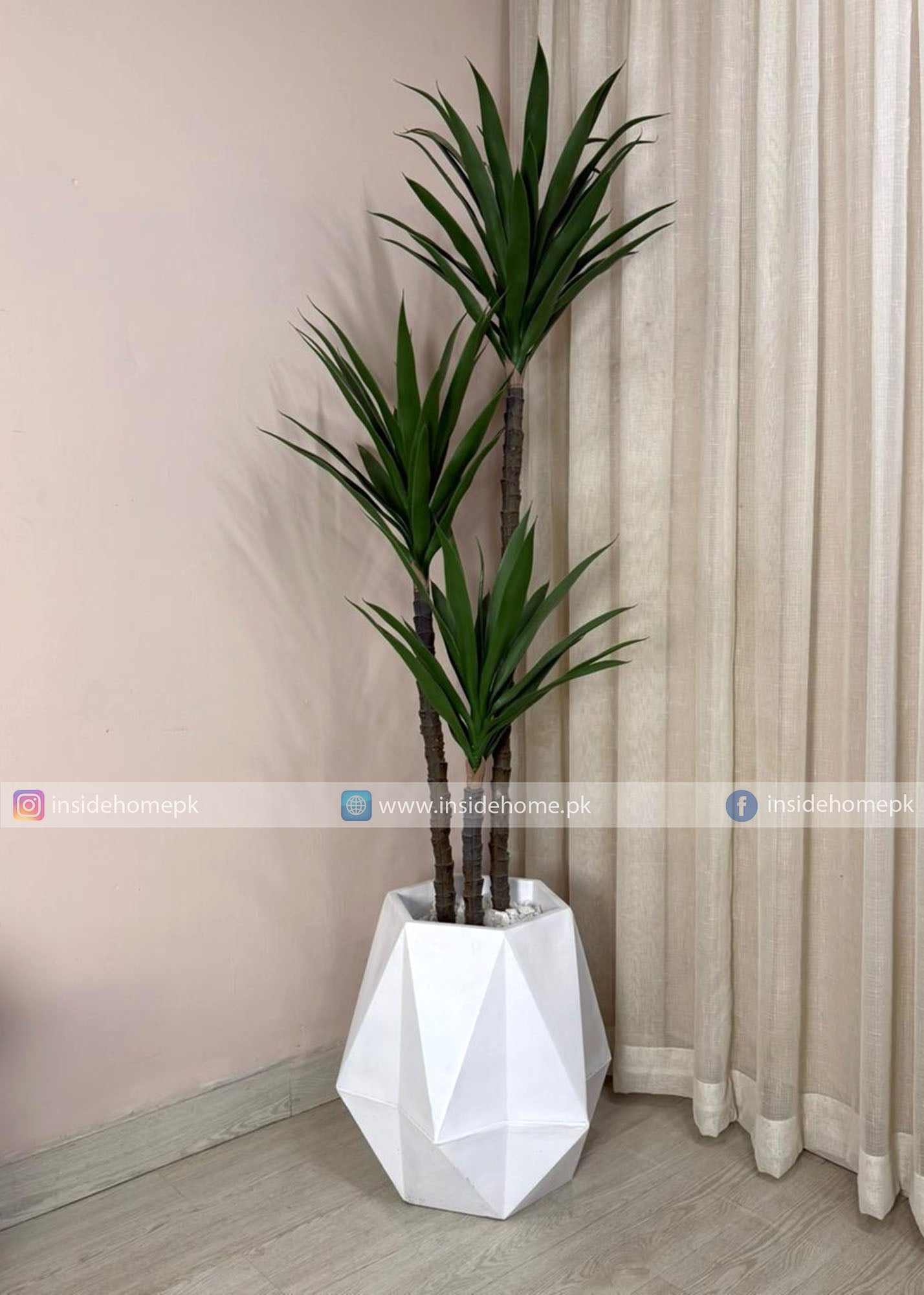 Agave Plant (PL1058) With Planter
