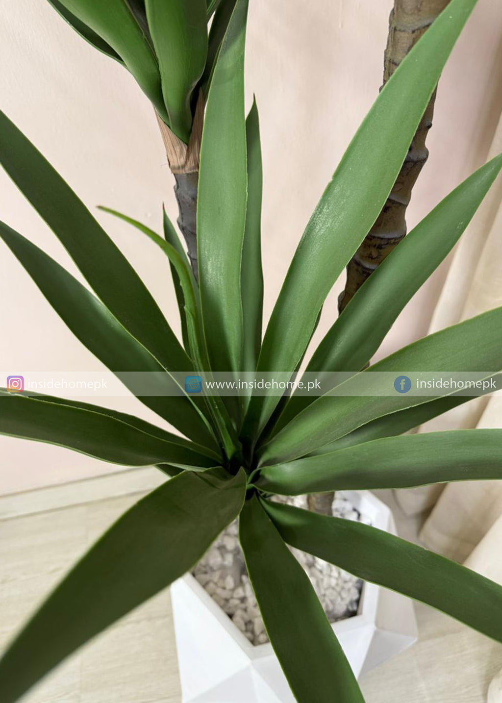 Agave Plant (PL1058) With Planter