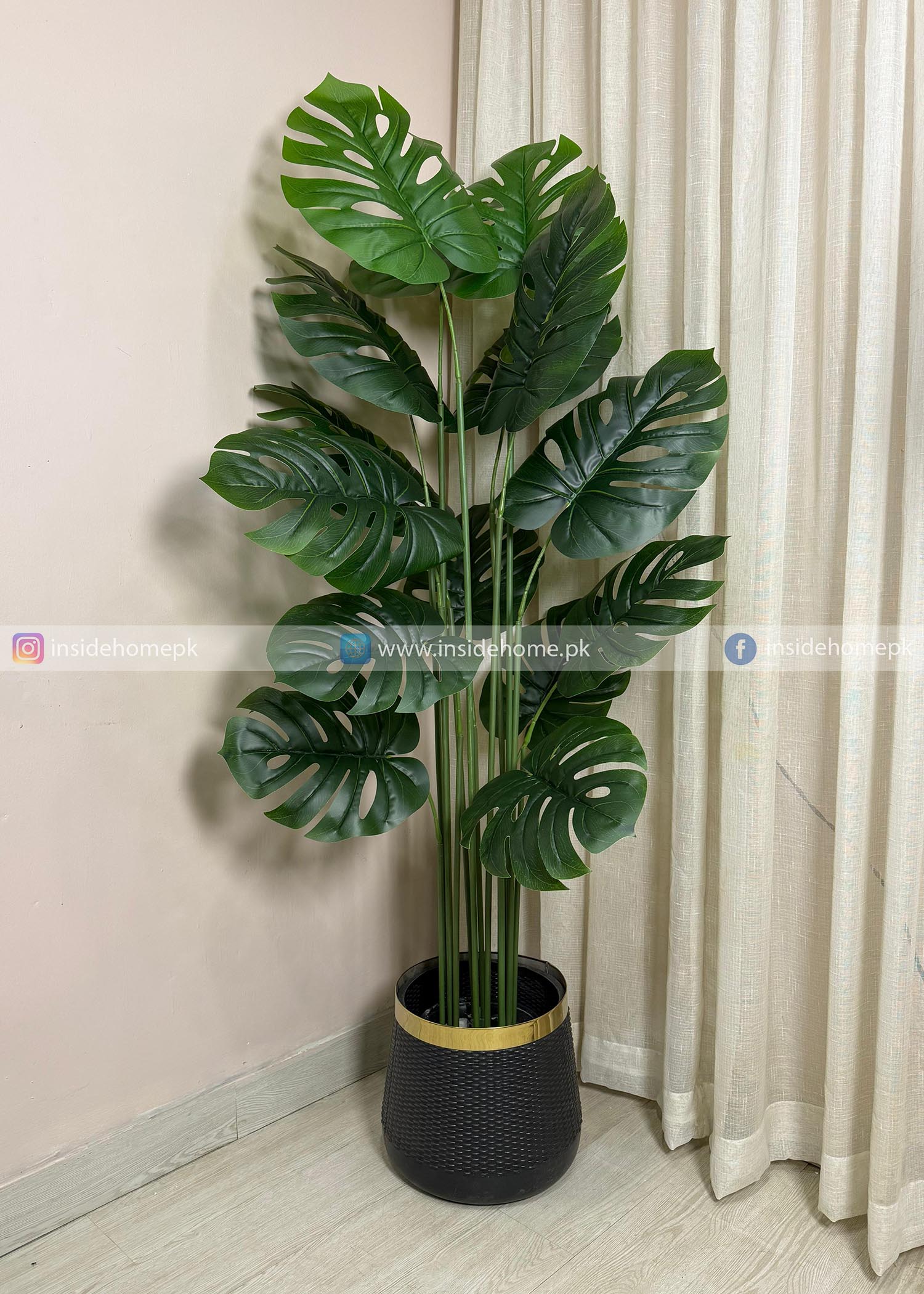 Monstera Plant (PL1063) With Planter