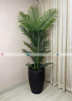 Areca Plant (PL1064) With Planter