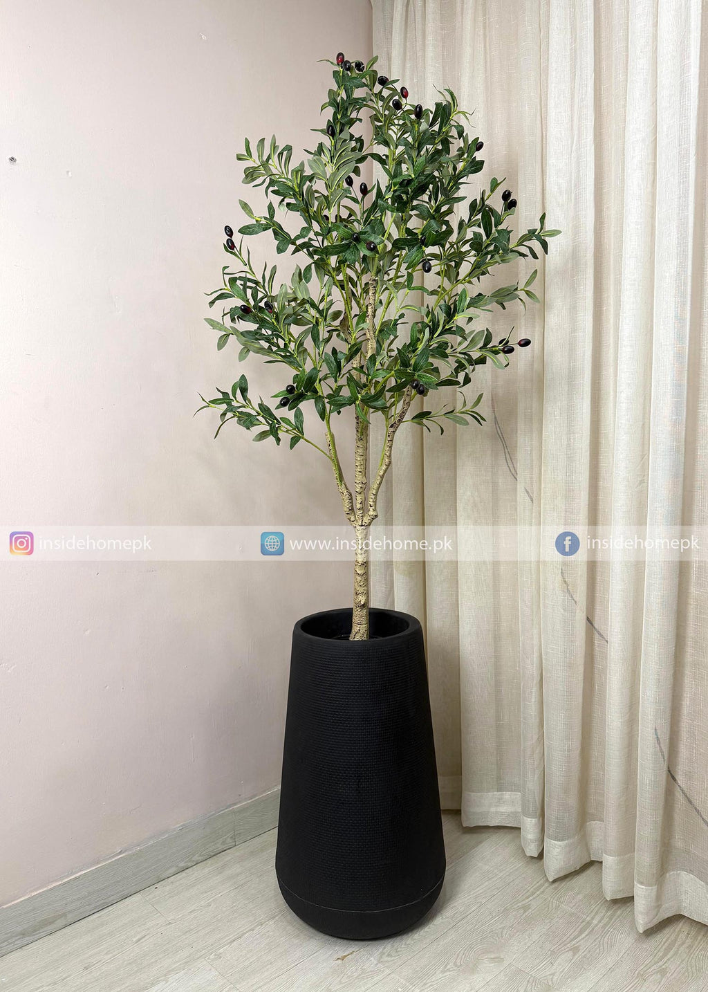 Olive Plant (PL1067) With Planter