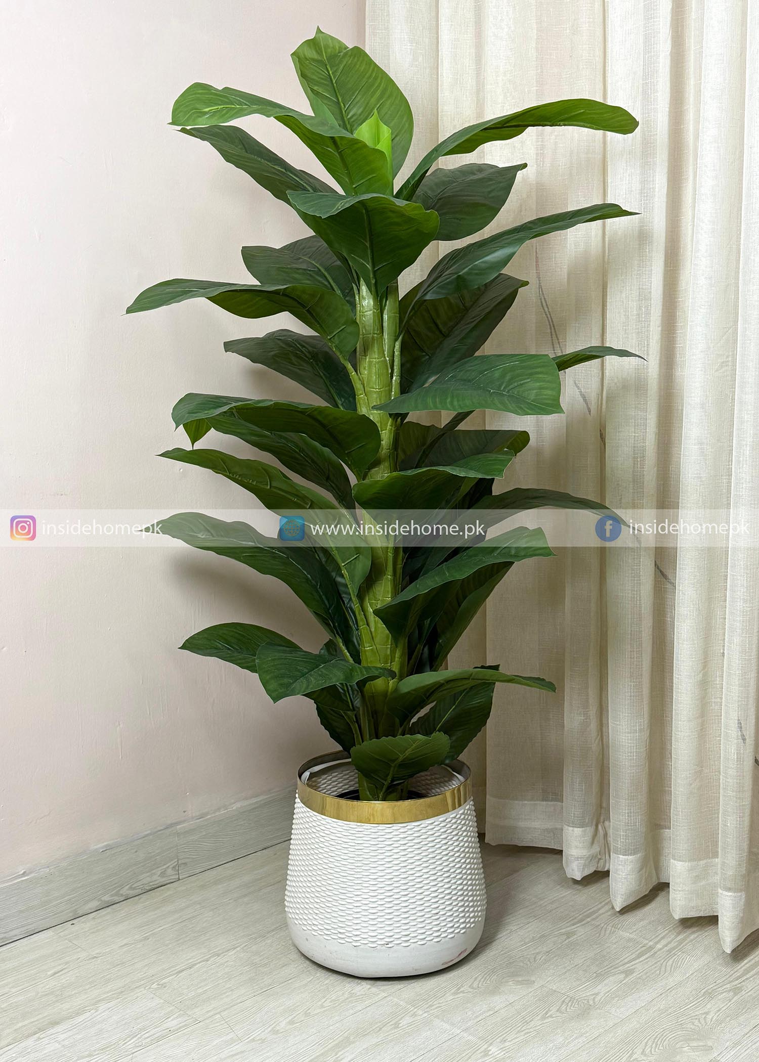 Green Plant (PL1070) With Planter