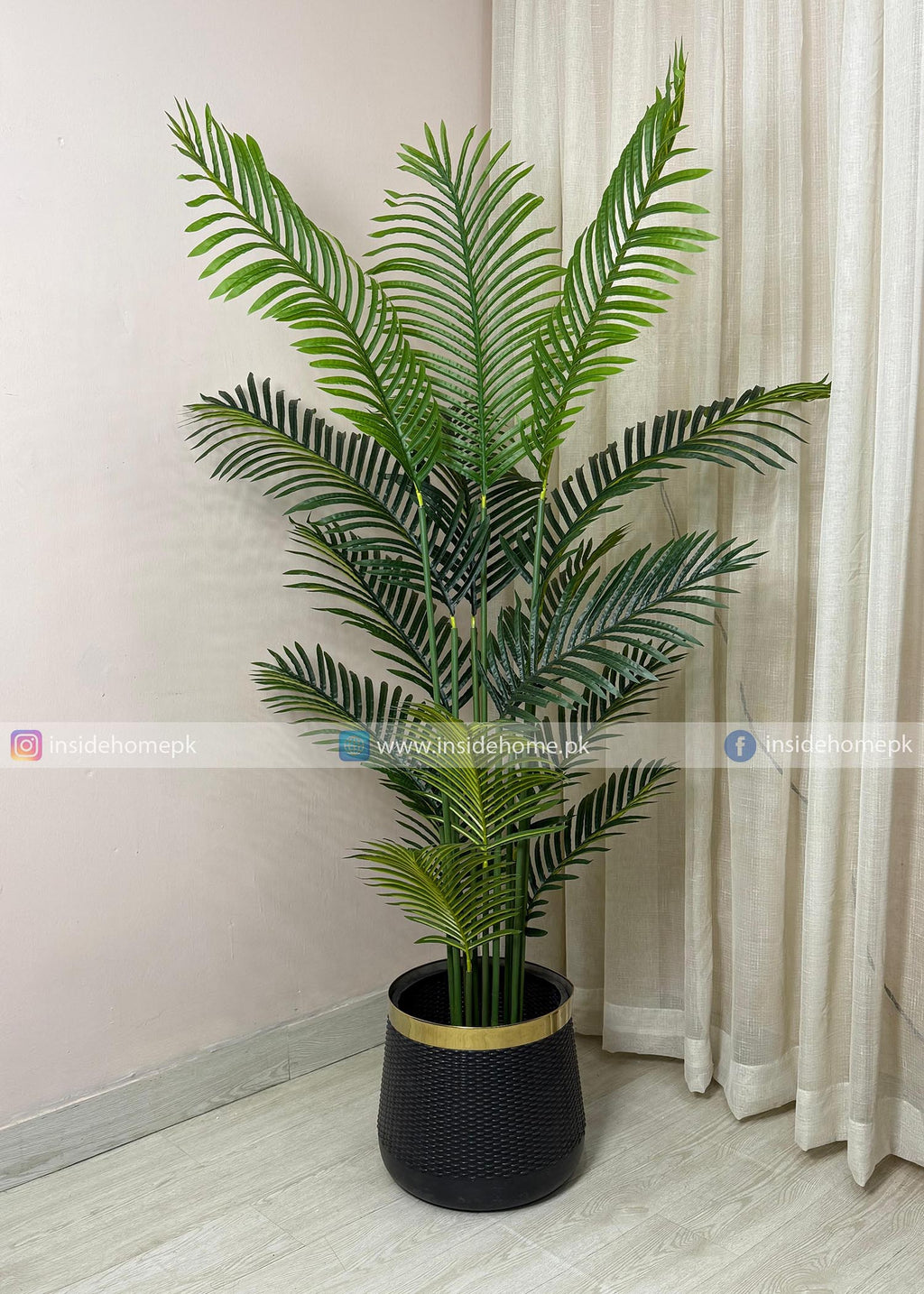 Areca Palm Plant (PL1071) With Planter