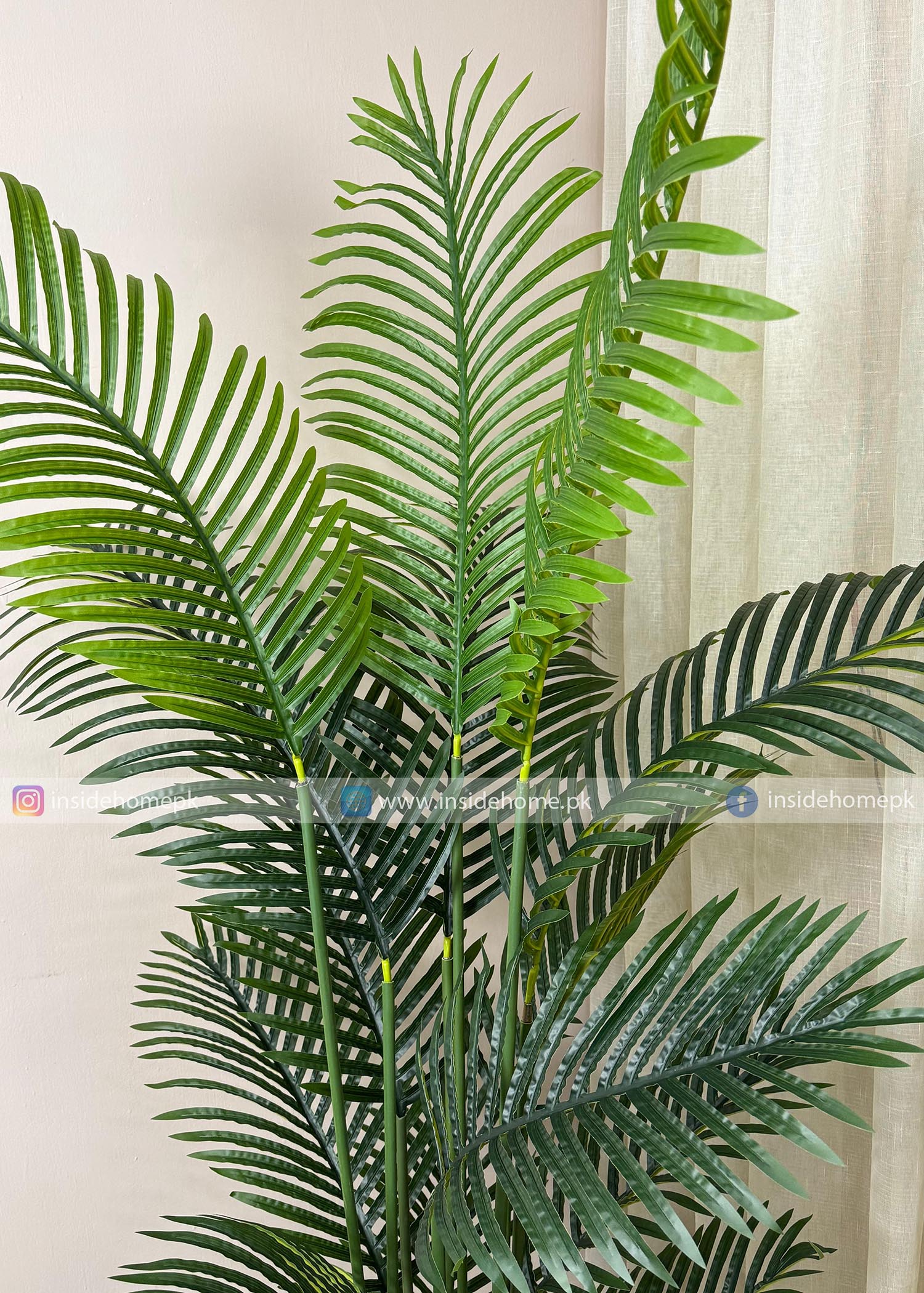 Areca Palm Plant (PL1071) With Planter