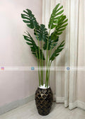 Mostera Plant (PL1072) With Planter