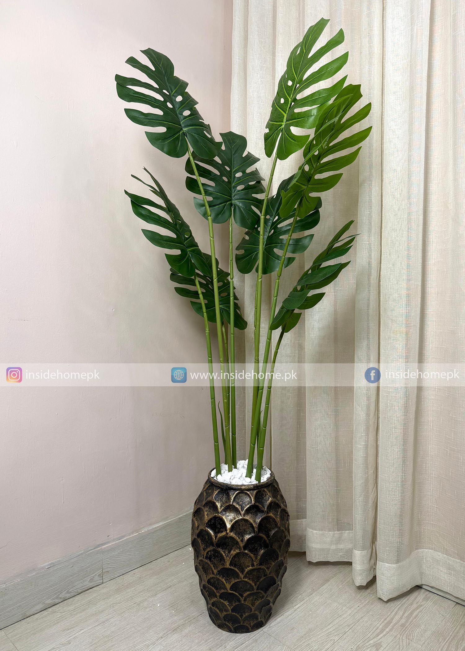 Mostera Plant (PL1072) With Planter