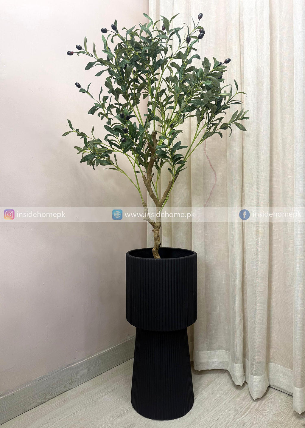 Olive Plant (PL1074) With Planter