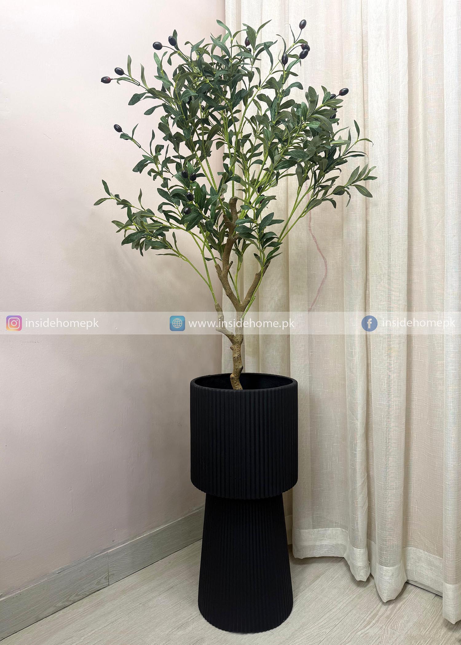 Olive Plant (PL1074) With Planter
