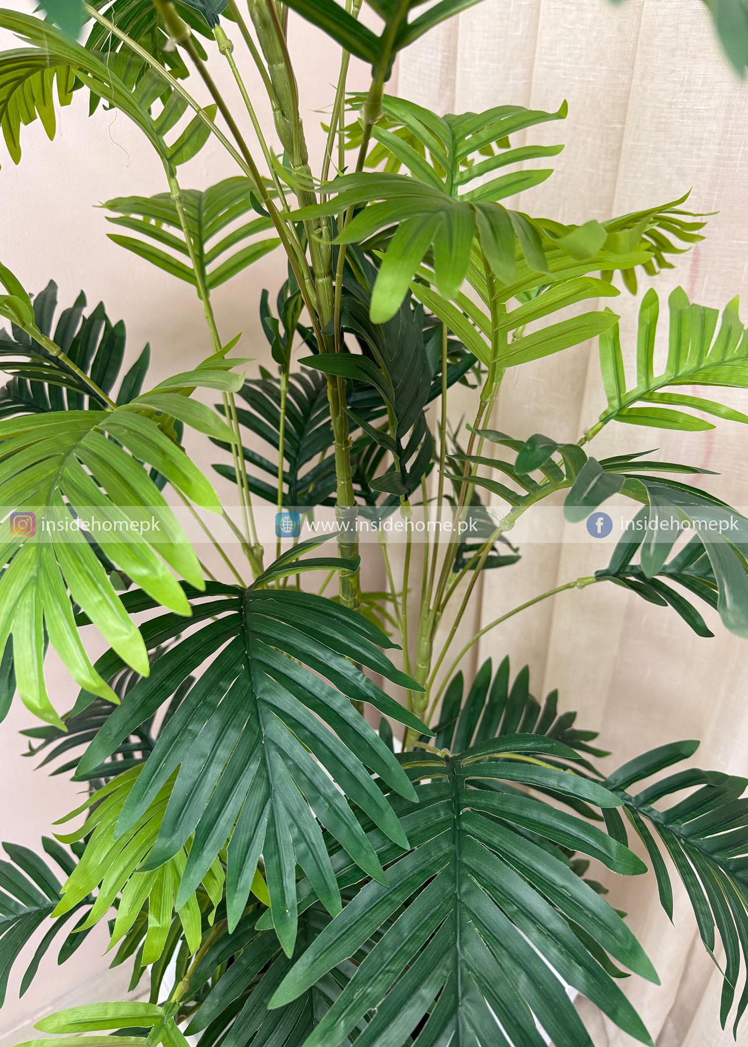 Areca Plant (PL1078) With Planter