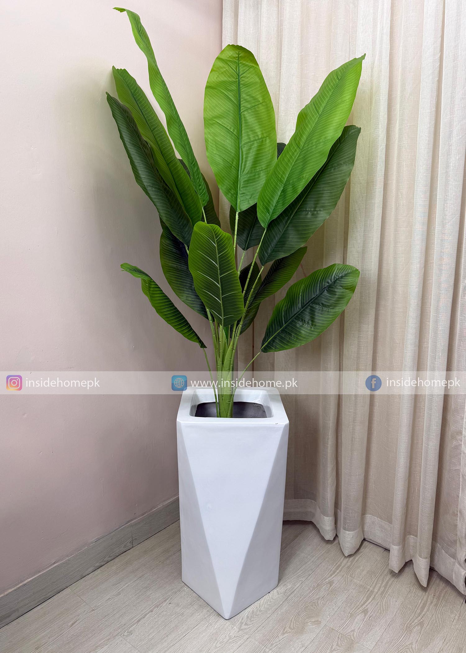 Banana Plant (PL1079) With Planter