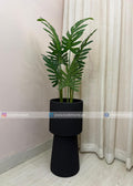 Swiss Cheese Plant (PL1080) With Planter