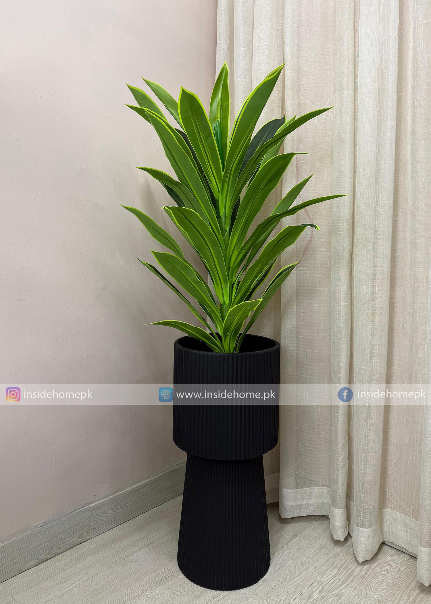 Snake Plant (PL1081) With Planter