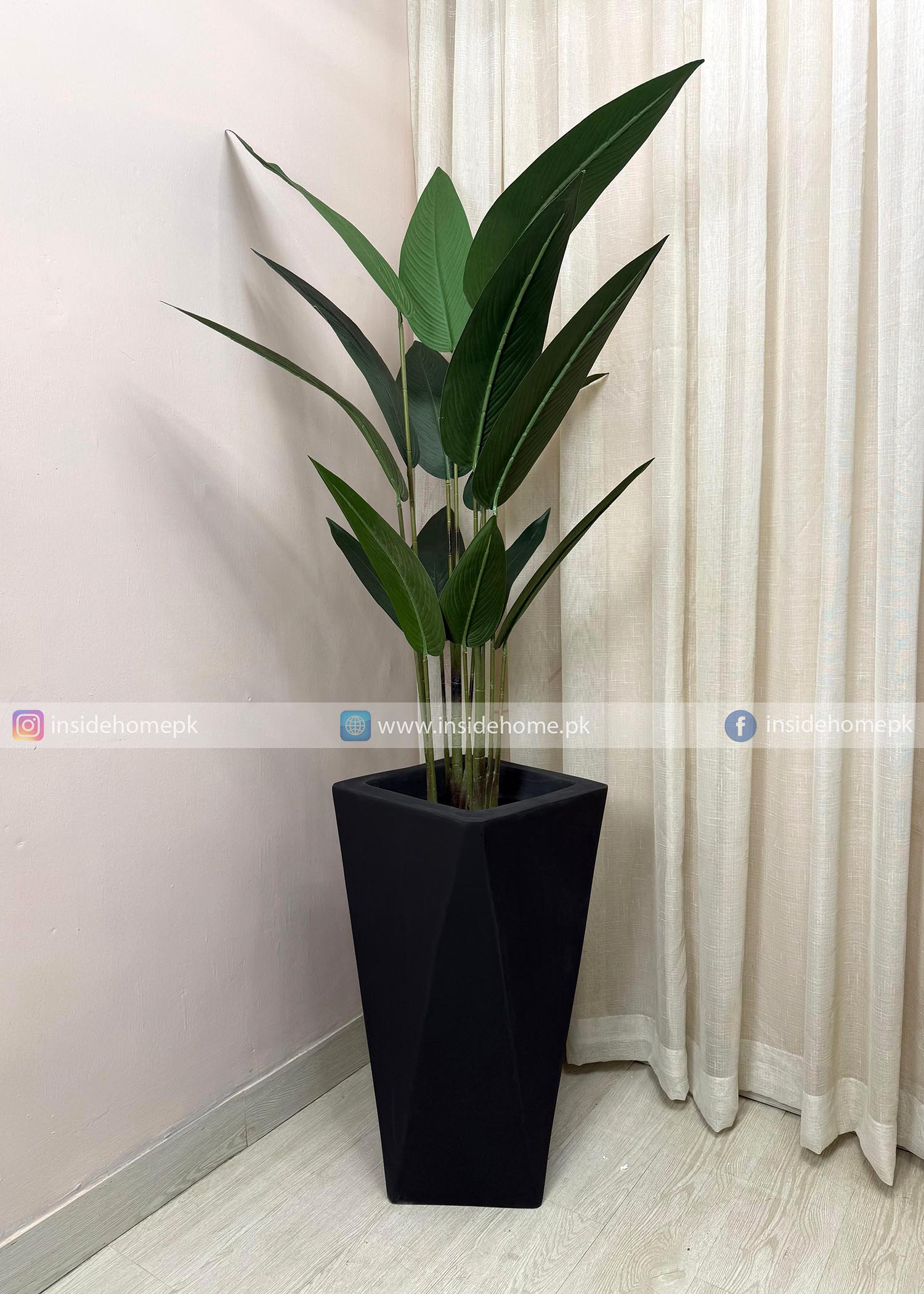 Sky Bird Plant (PL1083) With Planter