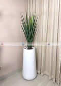 Aloe Vera Plant (PL1084) With Planter