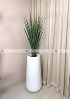Aloe Vera Plant (PL1084) With Planter