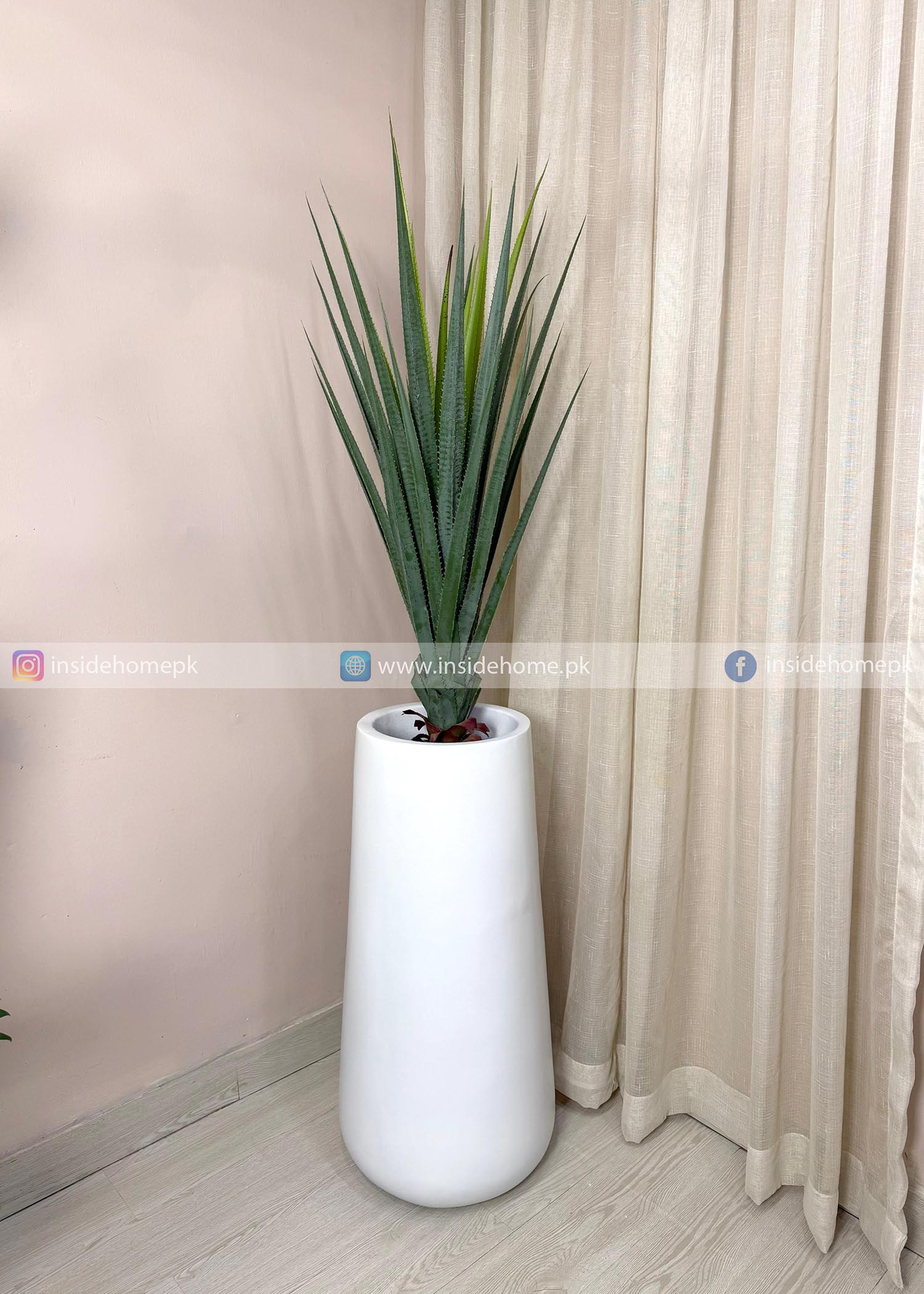 Aloe Vera Plant (PL1084) With Planter