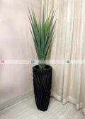 Aloe Vera Plant (PL1085) With Planter