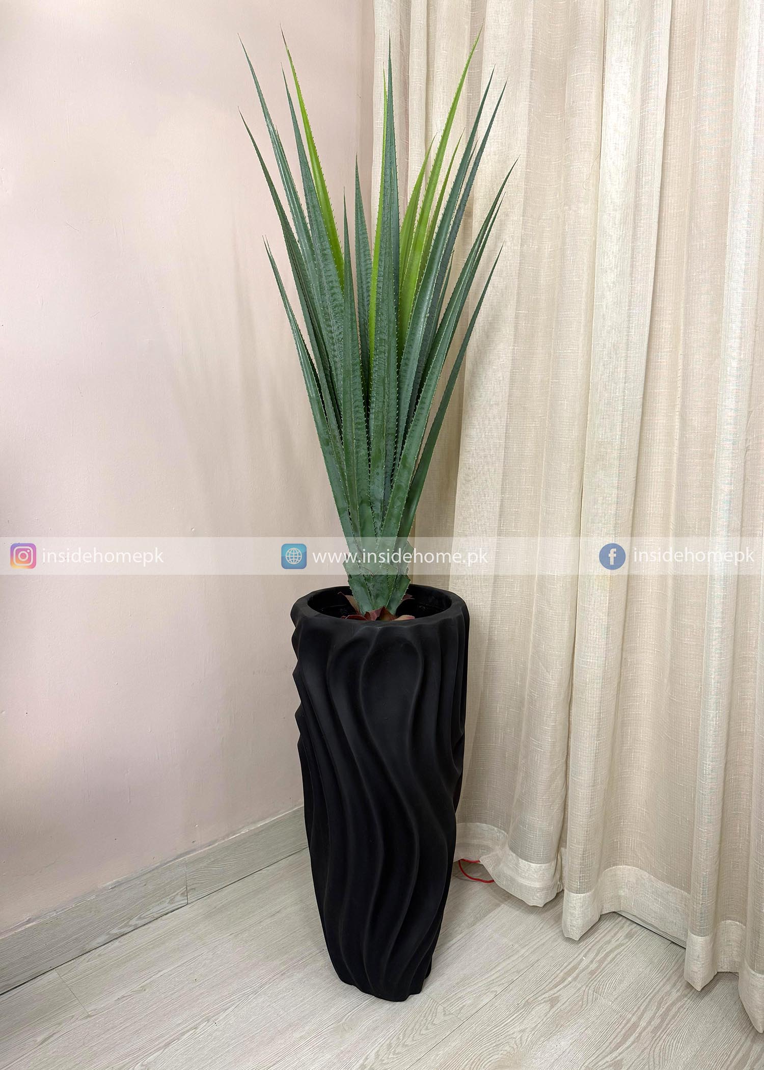 Aloe Vera Plant (PL1085) With Planter