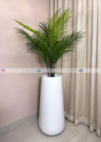Areca Plant (PL1089) With Planter