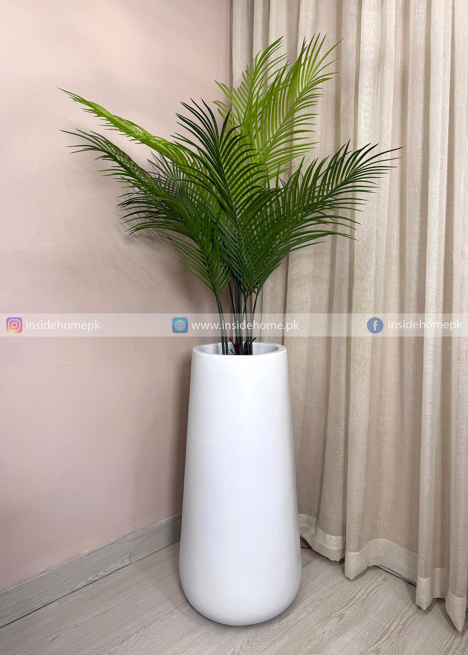 Areca Plant (PL1089) With Planter