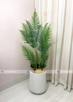 Natural Palm (PL1091) With Planter